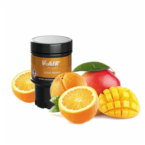 Vectair VAir® SOLID Air Fresheners (6 per case) Lime Sustainable